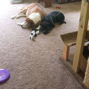 Meet your Posher, Cherie